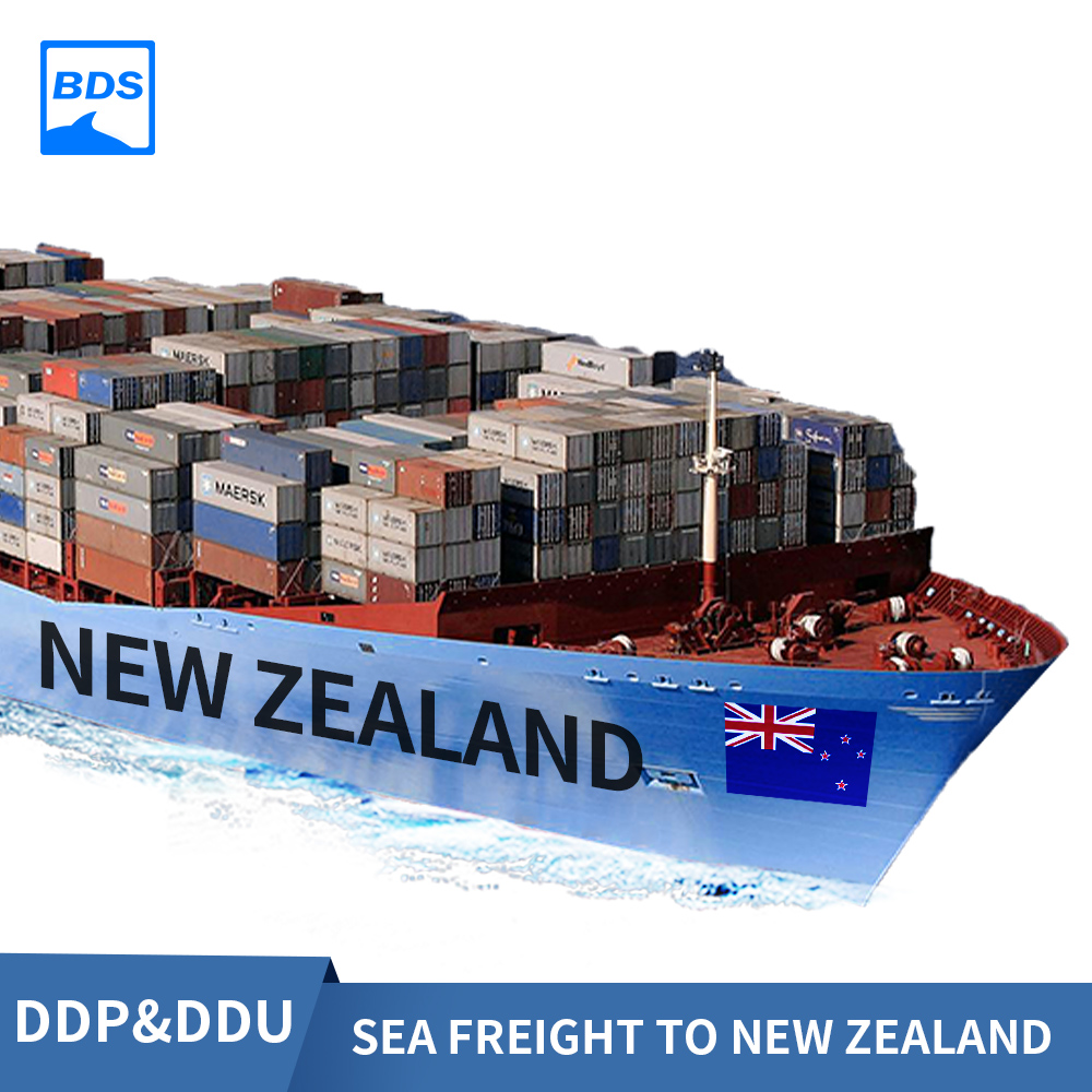 Sea freight Freight Forwarding From China to New Zealand - Blue Dolphin ...